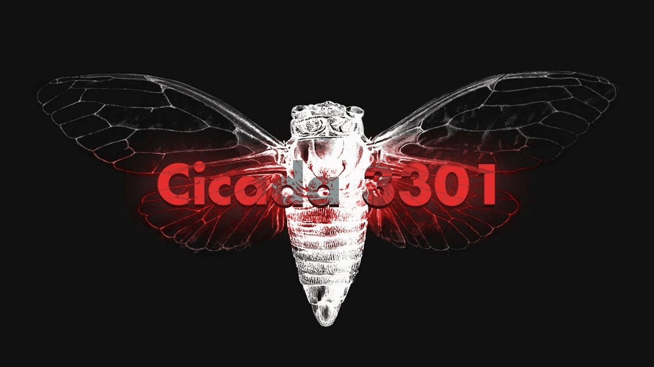 Cicada 3301 – The Internet's Greatest Unsolved Puzzle