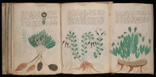 The Voynich Manuscript – A Book No One Can Read